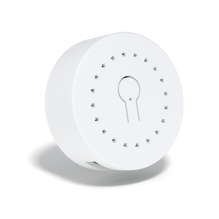 Умное реле с Wi-Fi + 433МГц, мониторинг потребления, Яндекс Алисой, Марусей, Google Home, Wireless Relay 16A